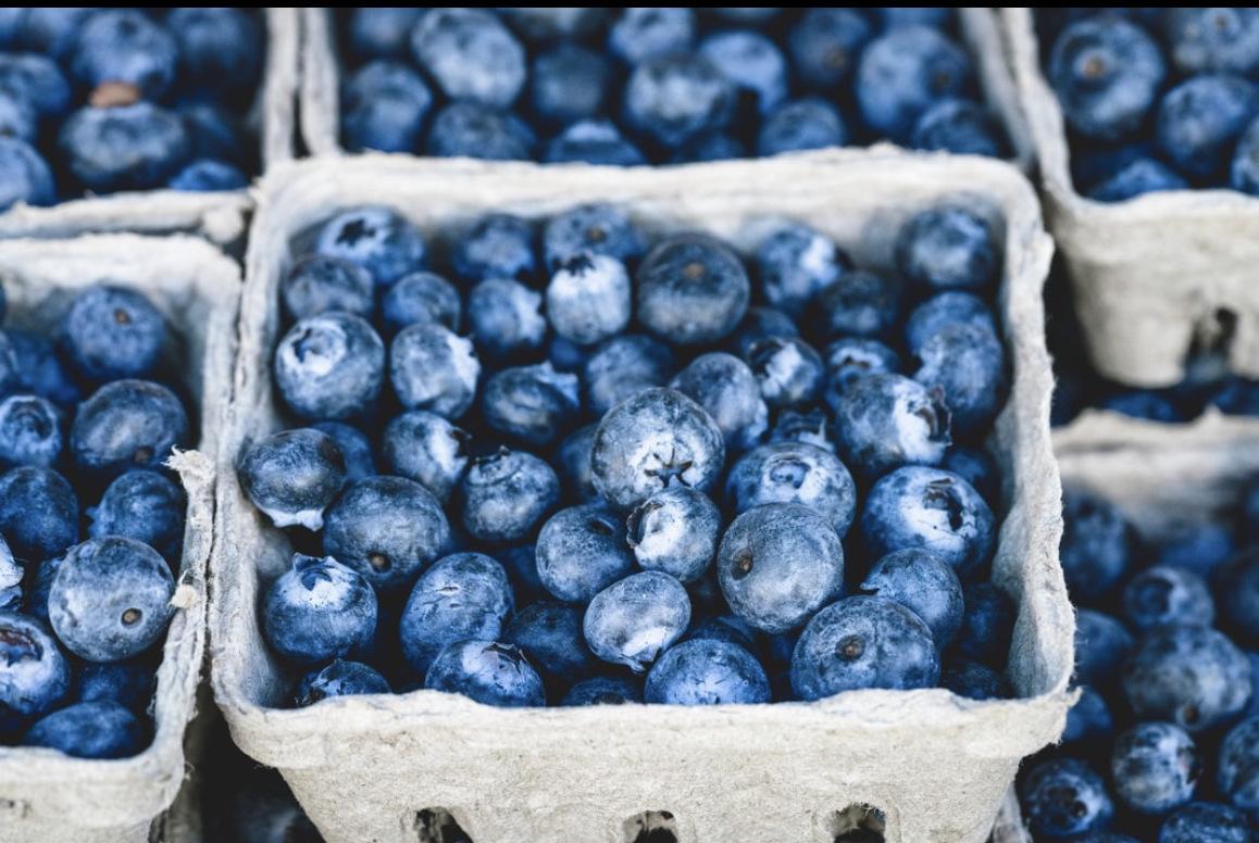 Blueberry Picking in 2021